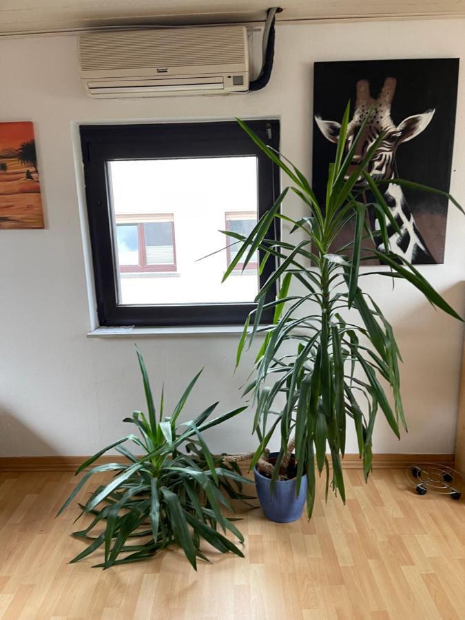 Monteurwohnung - Ferienwohnung Naehe Limburg An Der Lahn Flacht Exteriér fotografie